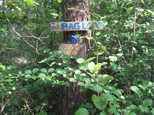 signs along the road