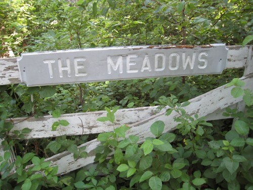 Signs on the road