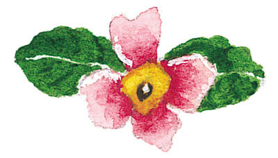 small flower