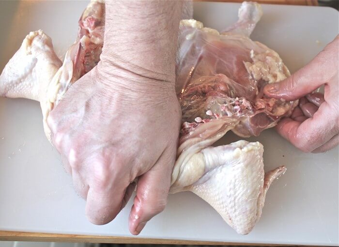 Press down bird to flatten