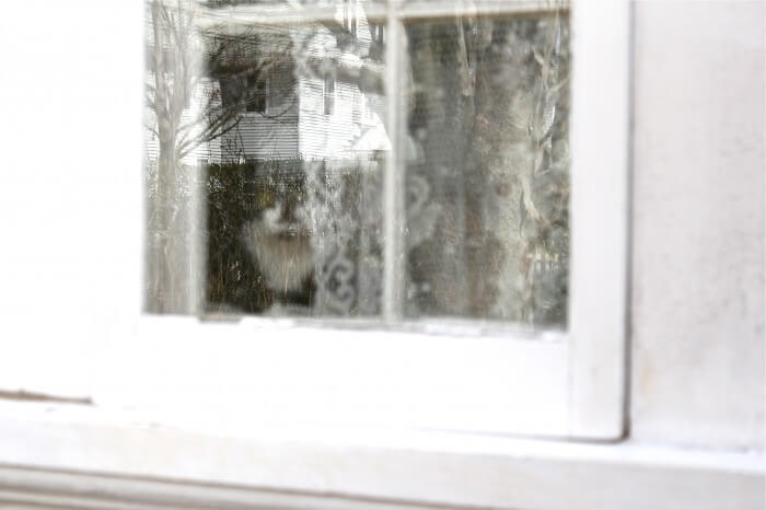 Jack in the window