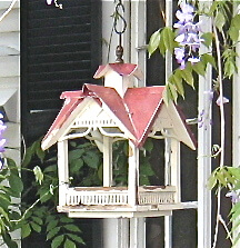 my bird feeder