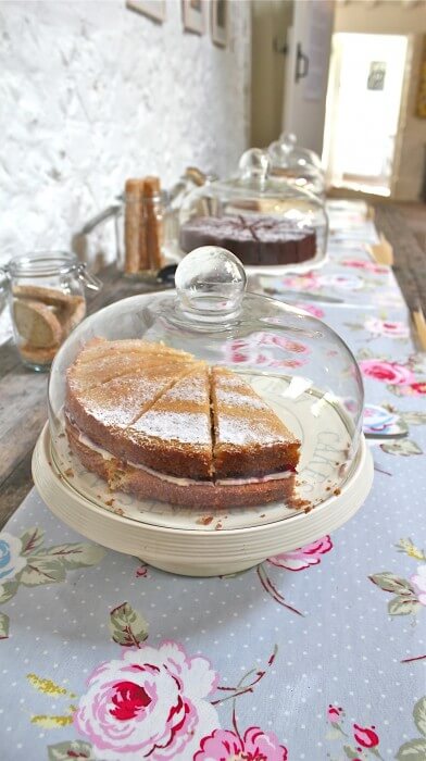 Cake?