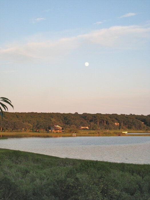 The moon