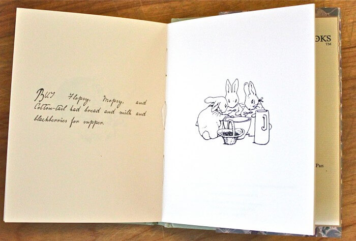 Peter Rabbit