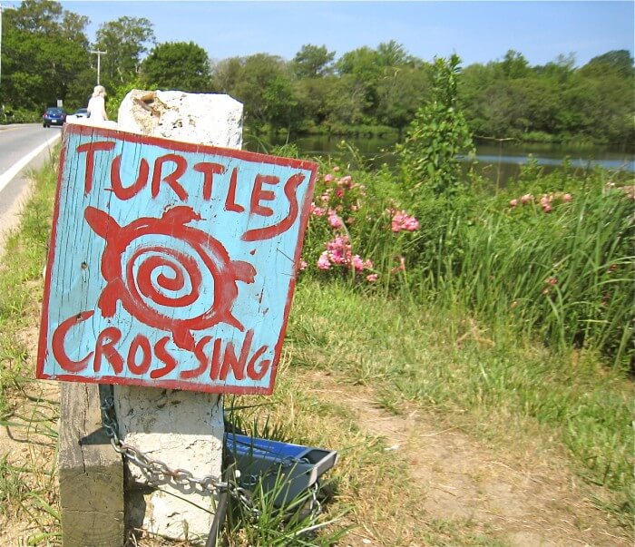 Slow down, you move to fast . . .