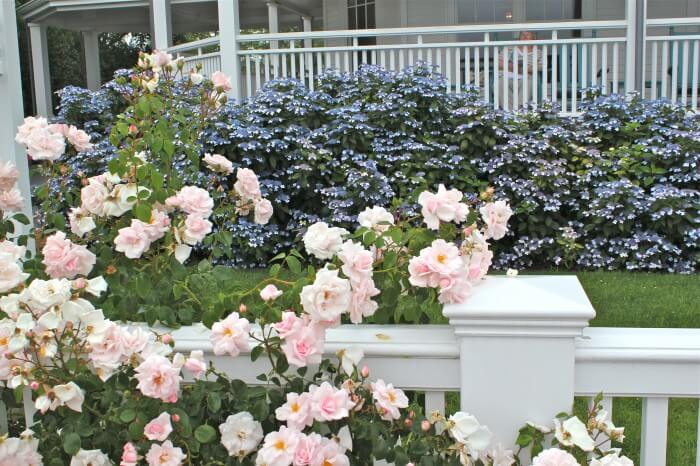 Edgartown