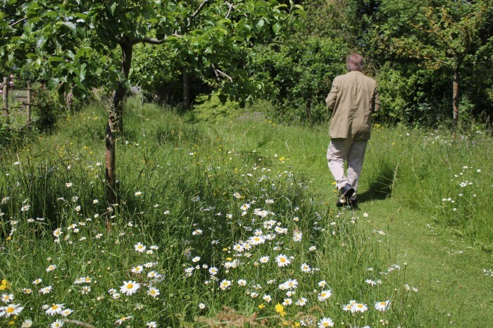 Joe in William Morris's wild garden