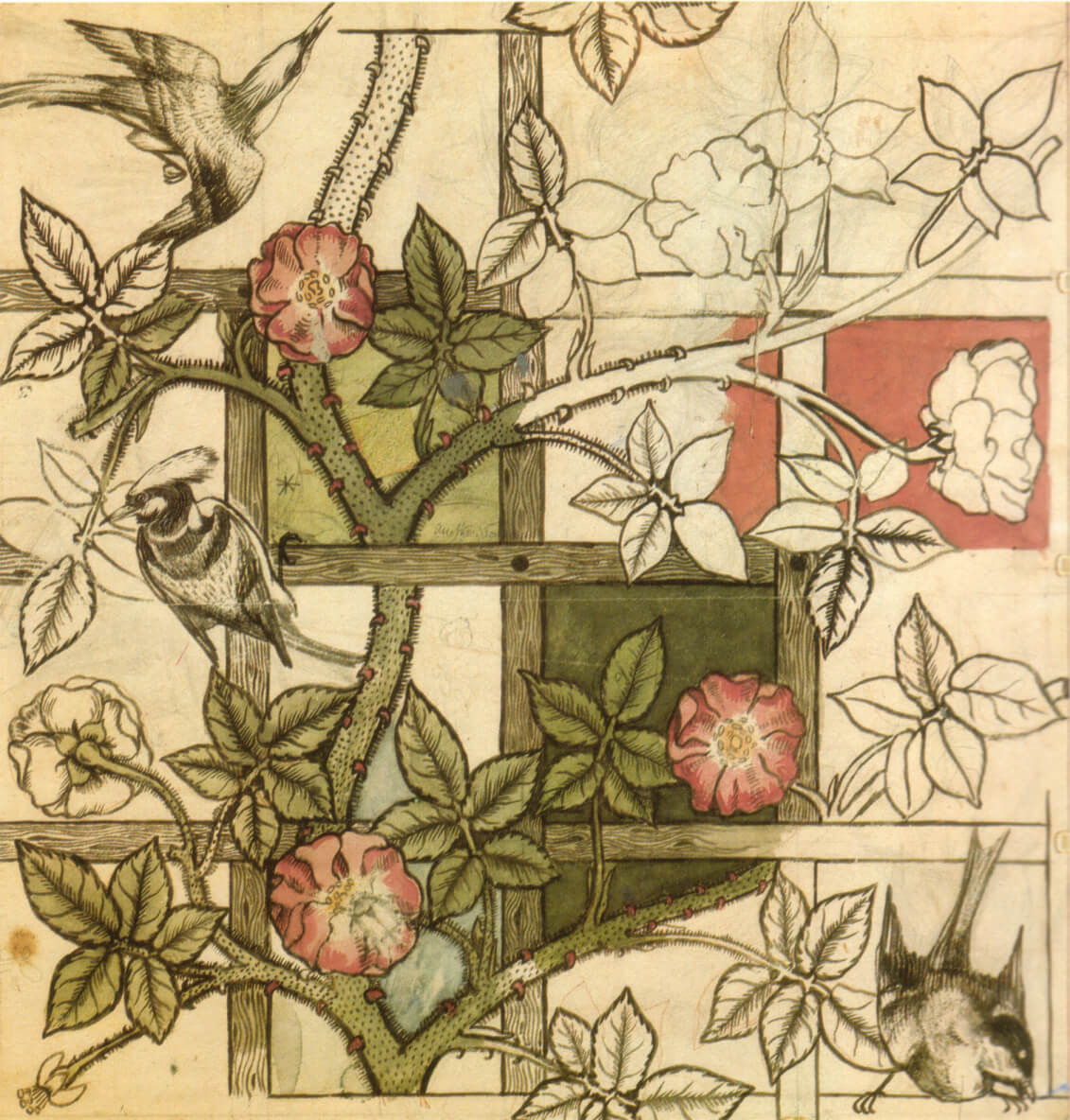 TRELLIS, wallpaper design