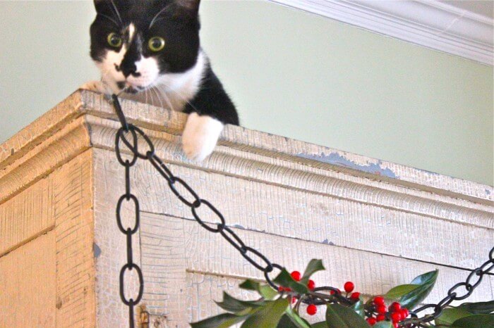 decorating the hutch