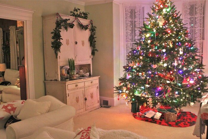 the tree