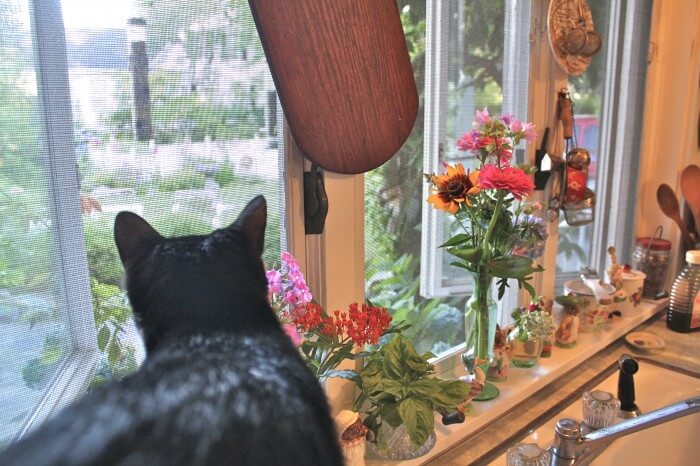 Jack's favorite spot