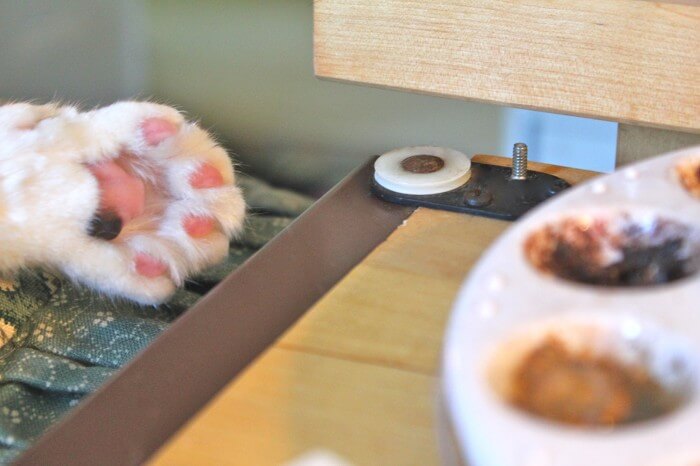 Girl Paw
