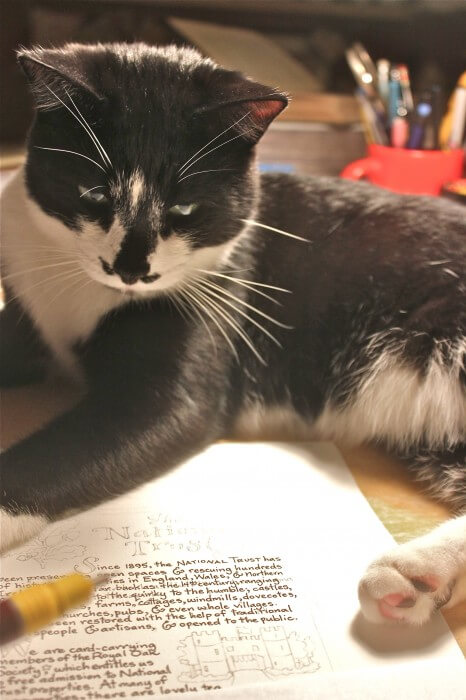 Book writing helper