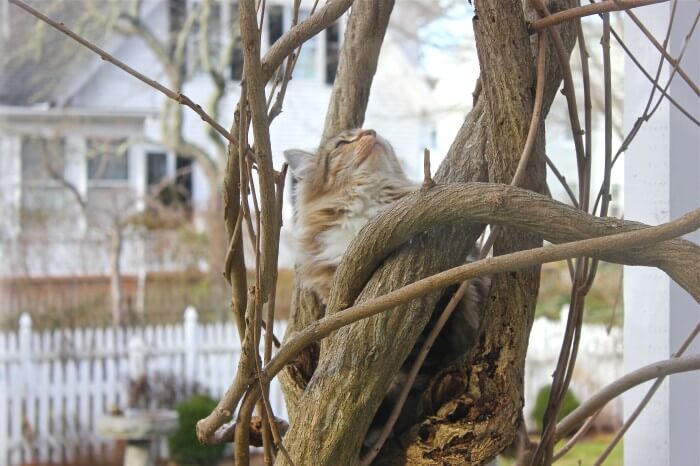 any birds around?