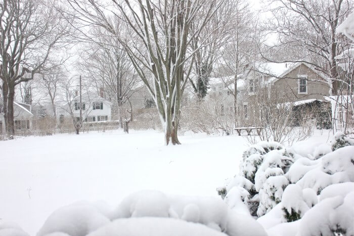 snow from the dining room