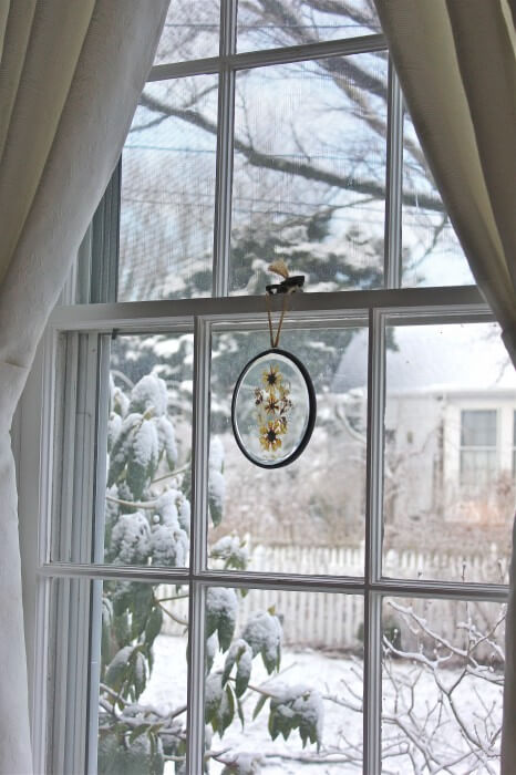 view from the chair