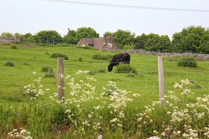 The Peak District