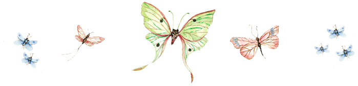 Butterlies