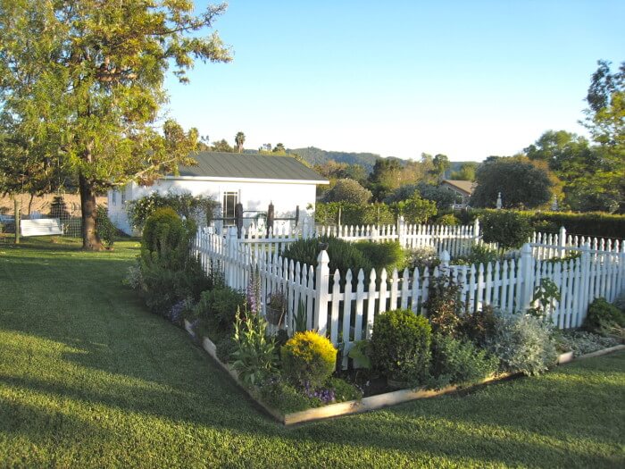 July 08 Vineyard 1677